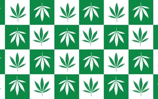 Cannabis leaves in green checkerboard graphic.