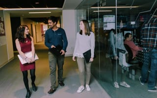 Wayfair employees in office