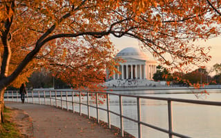 These D.C. Tech Companies Brought In Nearly $360M in November