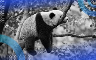 How to Speed Up Your Pandas Code by 10x