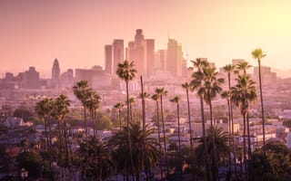 Sunset of Los Angeles downtown skyline with palm trees in foreground.