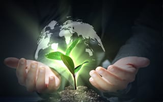 Hands shielding a plant with a holographic world over it.