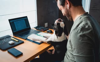 A man works from home with his dog.