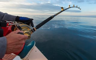 man fishing on a big game fishing trip