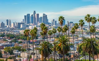 Los Angeles downtown skyline and palm trees in foreground
