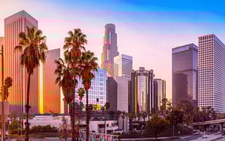 Los Angeles skyline with palm trees at sunrise