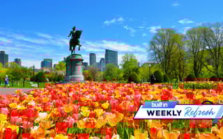 boston