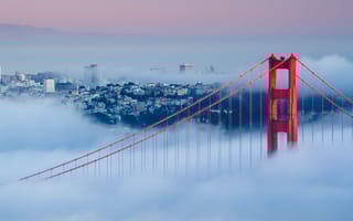 Golden Gate Bridge at dawn surrounded by fog