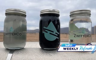 Jars of water in various states of murkiness with ZwitterCo's logo on the fronts.