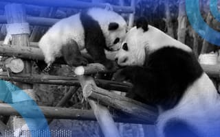 A Guide to Pandas Pivot Table