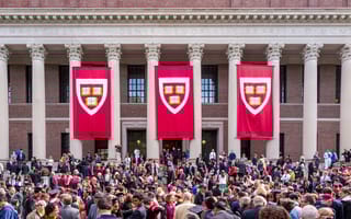 Harvard university