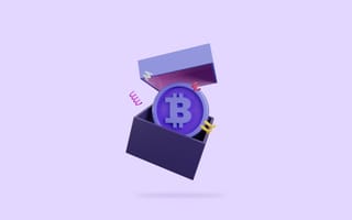 What Is a Crypto Wallet? Types of Crypto Wallets to Know.