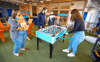People playing games at Chewy's renovated Boston office while holding dogs