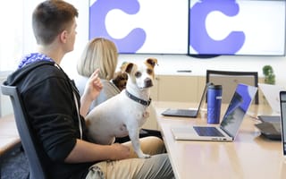 A dog sits in an employee's lap at the Chewy office.