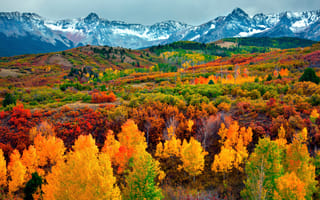 Red and orange trees with mountains in the background