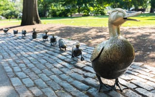 The Make Way For Ducklings sculptures at the Boston Public Garden.
