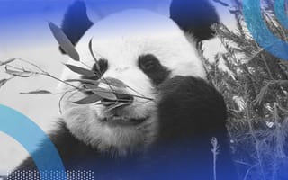 8 Ways to Filter Pandas DataFrames