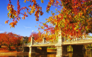 Autumn foliage at Boston Common