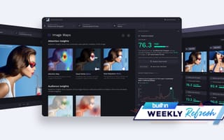 Screenshot of Vizit's Visual Brand Performance Platform