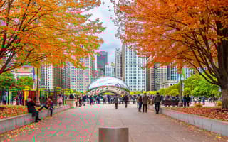 The bean and surrounding buildings are accompanied by autumn colors.