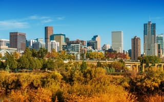 Autumn foliage with the Denver skyline in the background.