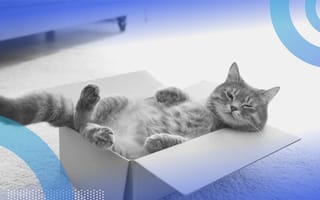 What Is Schrödinger’s Cat?