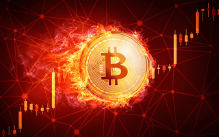 What Does ‘Burning Crypto’ Mean?