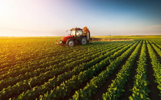 tractor moving across soybean field on a sunny day