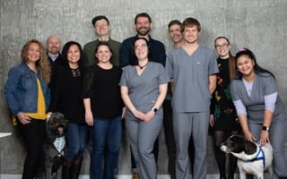 The Felix&Fido team stands in a group for a photo with two dogs.