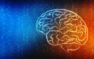 digital brain separated into blue and orange sections