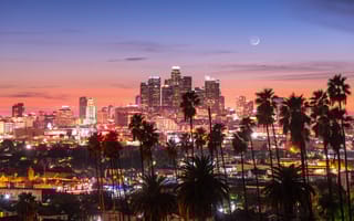 The LA skyline at night.