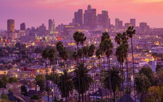 The LA skyline during sunset.