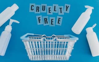 Empty product bottles surround a grocery basket with the phrase Cruelty Free hovering over it.