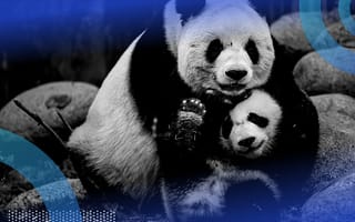 5 Pandas Groupby Tricks to Know in Python