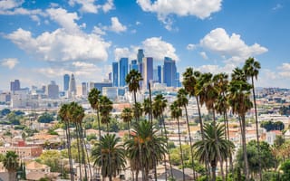 The Los Angeles skyline with palm trees in the foreground.