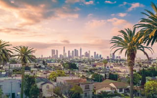 Photo of Los Angeles, California. The LA skyline rises between palm trees in the foreground.