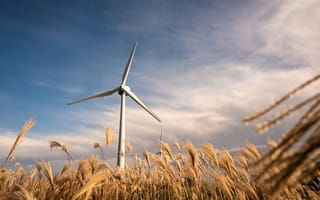 windmill in field