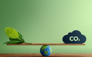 Leaves and a carbon dioxide cloud are depicted on opposite sides of a beam balanced on a globe.