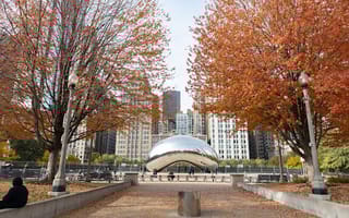 The Chicago Bean in fall.