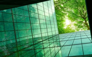 Greenery and office building