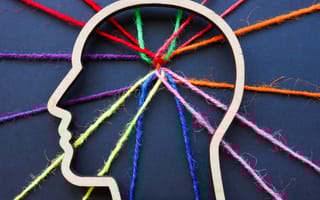 Different colors of yarn intersect within the outline of a human head.