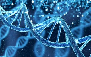 DNA molecule structure.