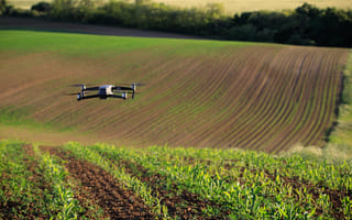 A drone flies over a field where crops grow.
