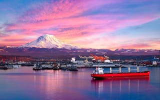 Photo: Shutterstock