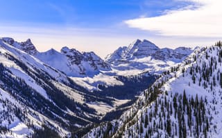 Photo: Shutterstock