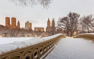 Photo: Shutterstock