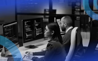 Cybersecurity experts looking for bugs