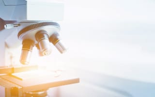 A microscope is pictured.