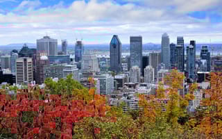 A view of the Montreal skyline featuring trees and skyscrapers.