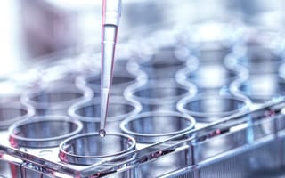 An image of a dropper in a biology lab is shown.